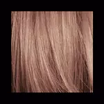 Champagne Blond