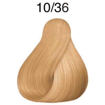 10/36