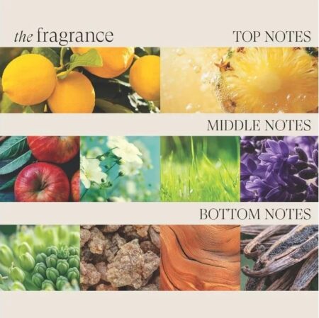 L’ANZA HCC Shampoo 950 ml