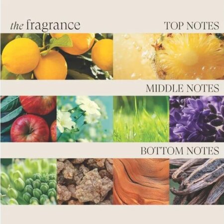 L’ANZA HCC Conditioner 250ml