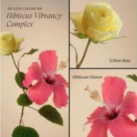 L’ANZA HCC Conditioner 250ml