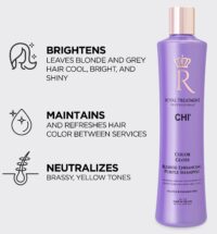 Farouk RT Color Gloss Blonde Purple Shampoo 355ml