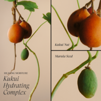 L’ANZA HM Conditioner 250ml