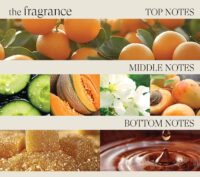 L’ANZA HStr Detangling Primer 30ml