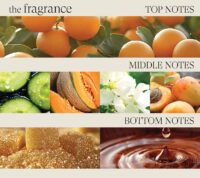 L’ANZA HStr Detangling Primer 200ml