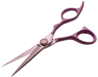 e-kwip+ Burgundy Touch 6.0