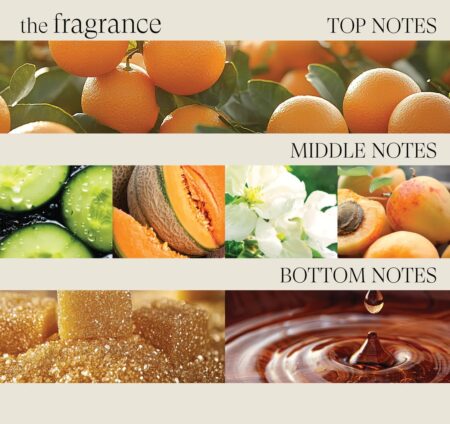 L’ANZA HStr Shampoo 950ml