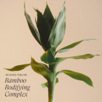 L’ANZA HV Conditionner 950ml