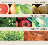 L’ANZA HV Conditionner 950ml