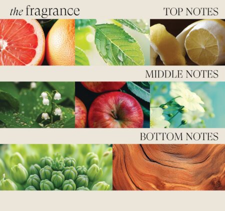 L’ANZA HV Conditionner 950ml