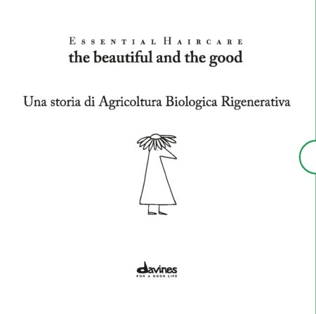 DAVINES DEHC ROA EXPLANATION TOOL ES