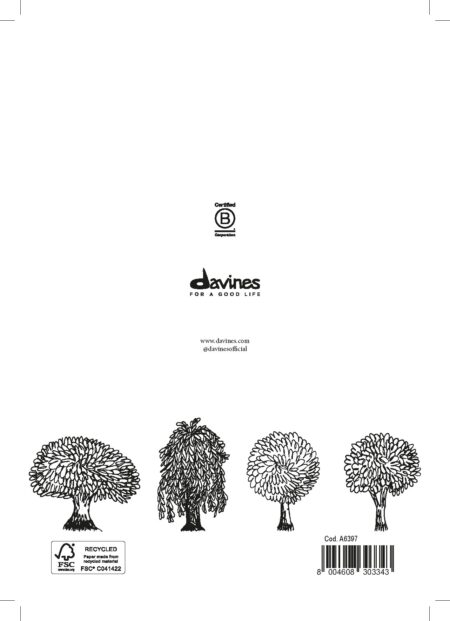 DAVINES DEHC SERVICE MENU FR