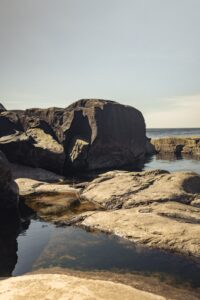 Björk Banner 70x120cm (natur Rock)