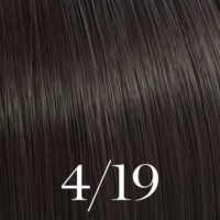 Color Touch Rich Naturals 4/19 60ml